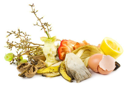 Biodéchets alimentaires biodechet alimentaire