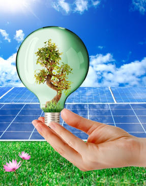 Panneaux photovoltaïques et main tenant une ampoule dans laquelle pousse un arbre. panneaux photovoltaiques ampoule electricite