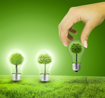 Main plantant des ampoules contenant des arbres. arbre ampoule