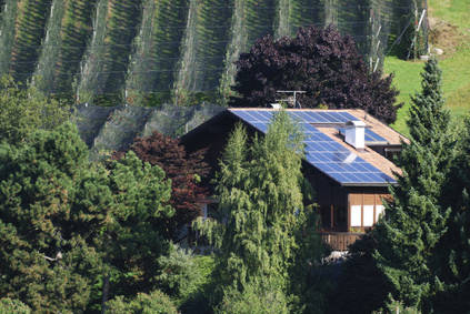 Maison arbres panneaux solaires panneaux solaires arbres