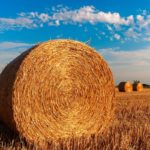 Isolation écologique : quels matériaux choisir ?